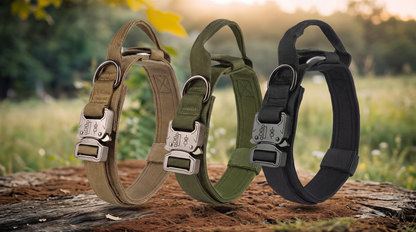 Adjustable Nylon Dog Collar and Leashes